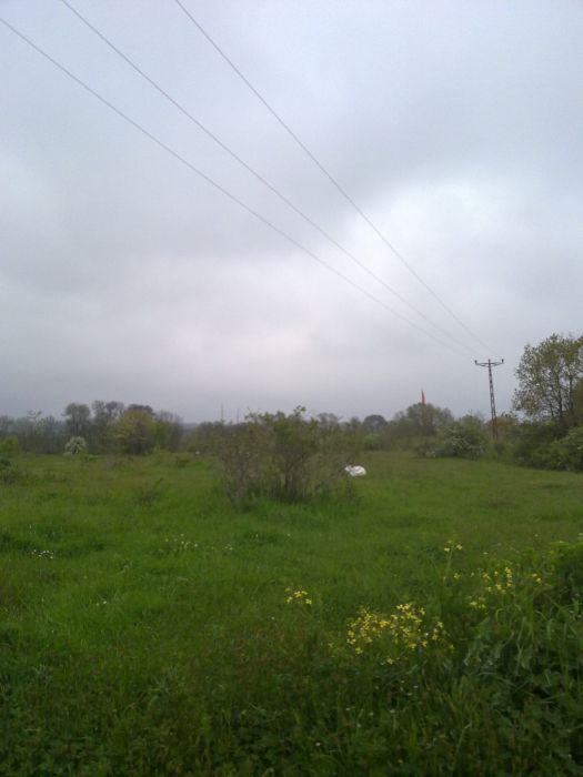 24042010365.jpg