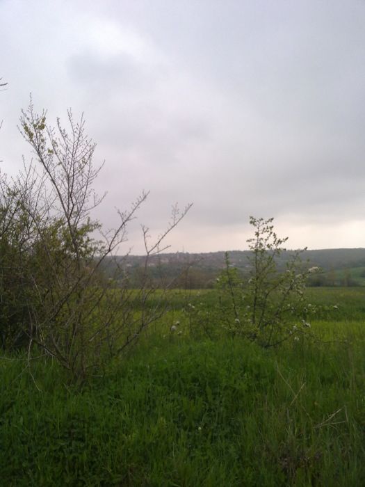 24042010366.jpg