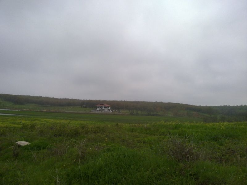 24042010375.jpg