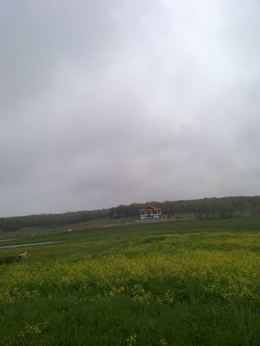 24042010376.jpg