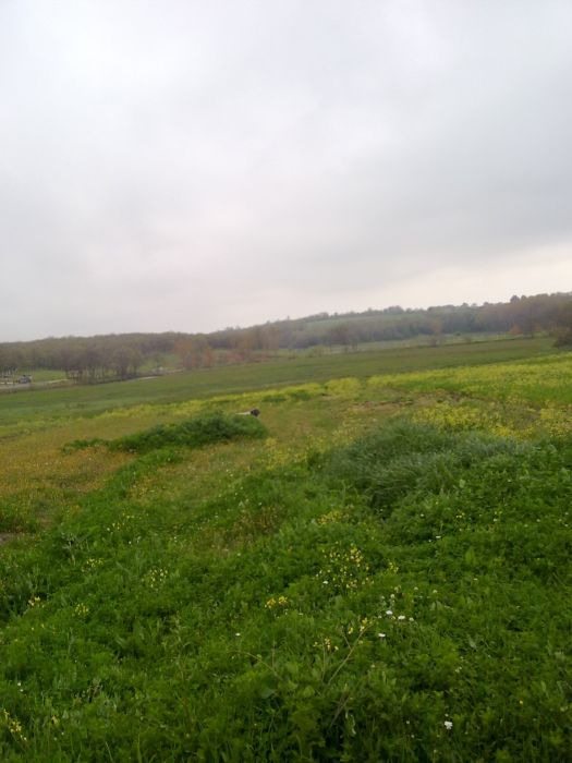 24042010377.jpg