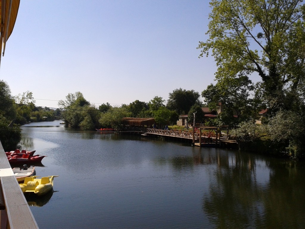 2406093600.jpg