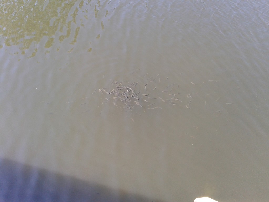 2406095347.jpg
