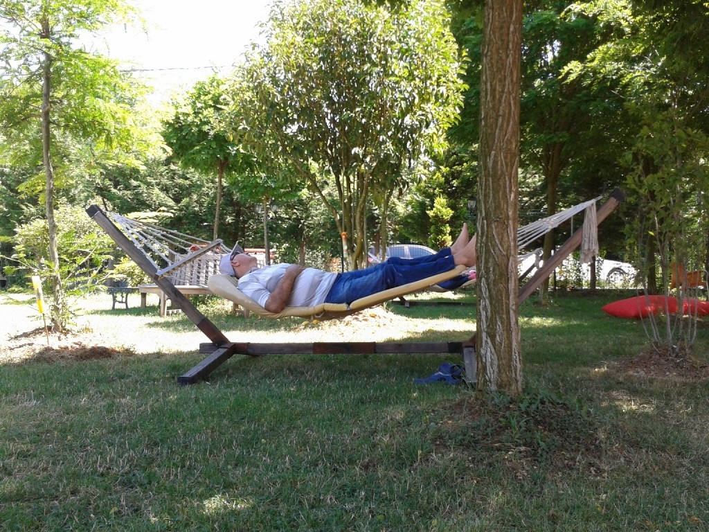 2406135753.jpg
