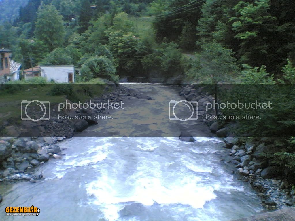 24062006004.jpg