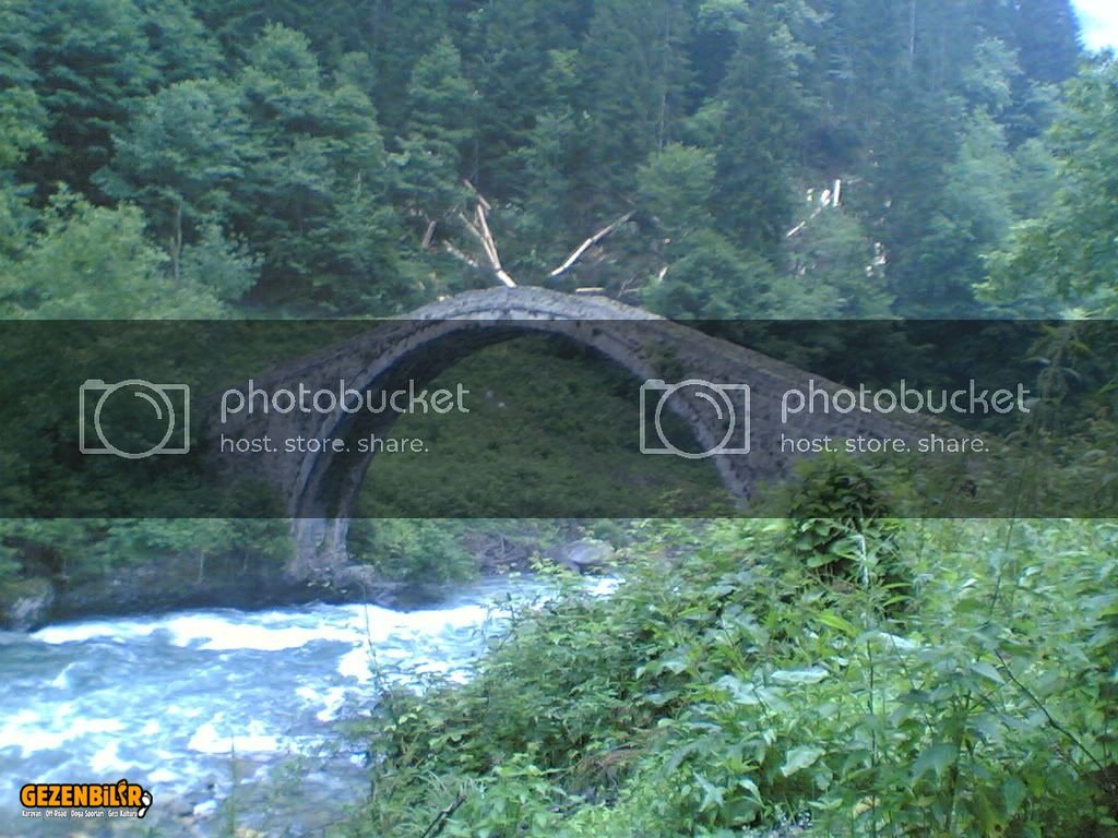 24062006011.jpg