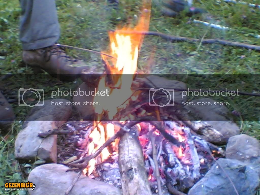 24062006012.jpg