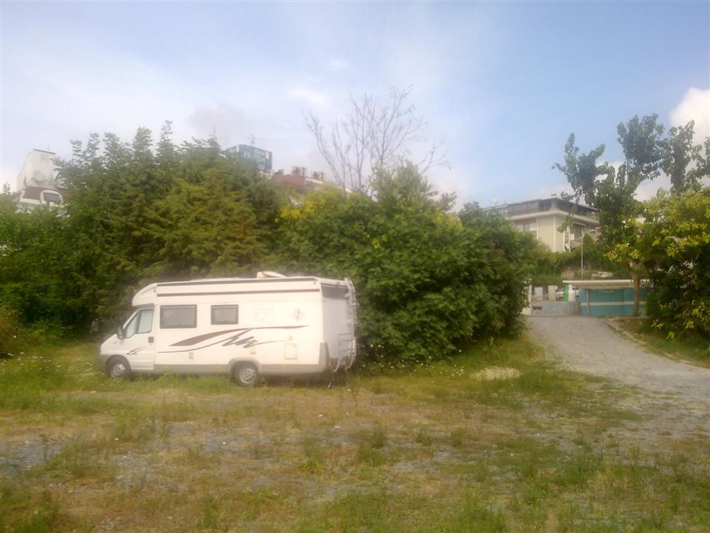 240720143110 (Large).jpg