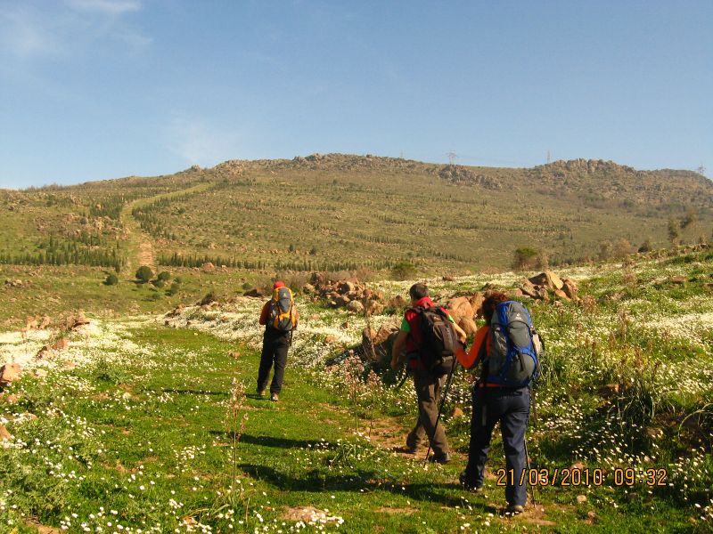 247 - ÃƒÂƒÃ‚ÂƒÃƒÂ‚Ã‚Â–rnekkÃƒÂƒÃ‚ÂƒÃƒÂ‚Ã‚Â¶y 194.jpg