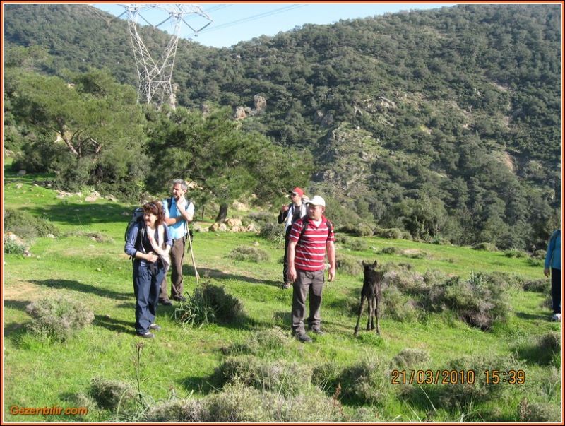 247 - ÃƒÂƒÃ‚ÂƒÃƒÂ‚Ã‚Â–rnekkÃƒÂƒÃ‚ÂƒÃƒÂ‚Ã‚Â¶y (21 Mart 10)  054.jpg