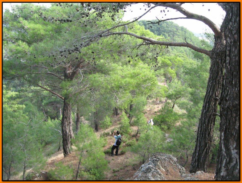 25 Ekim 09 - BalÃƒÂƒÃ‚ÂƒÃƒÂ‚Ã‚Â§ova 012.jpg