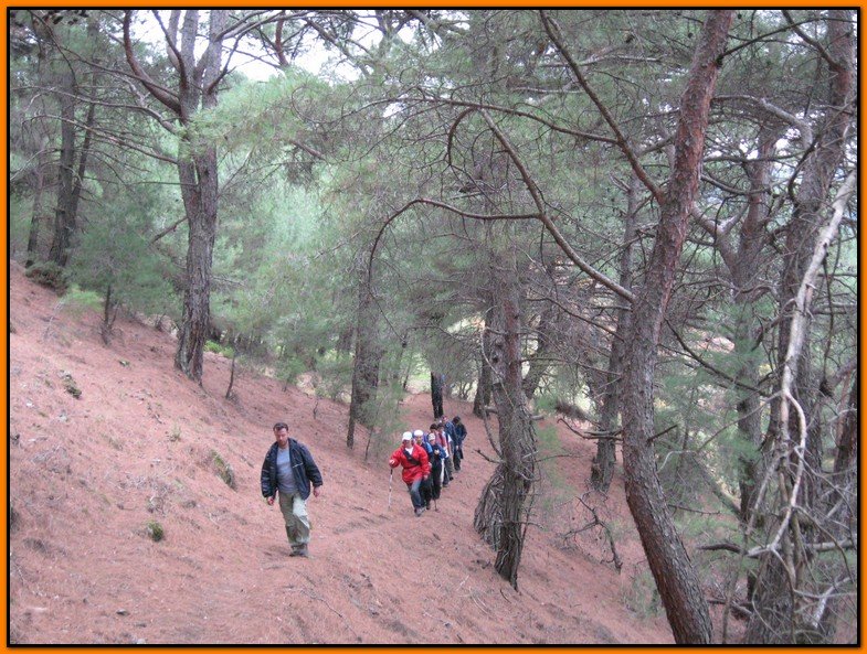 25 Ekim 09 - BalÃƒÂƒÃ‚ÂƒÃƒÂ‚Ã‚Â§ova 020.jpg