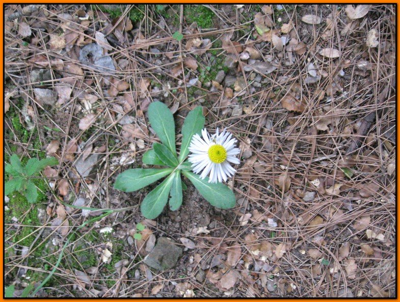 25 Ekim 09 - BalÃƒÂƒÃ‚ÂƒÃƒÂ‚Ã‚Â§ova 025.jpg