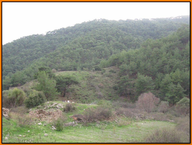 25 Ekim 09 - BalÃƒÂƒÃ‚ÂƒÃƒÂ‚Ã‚Â§ova 030.jpg