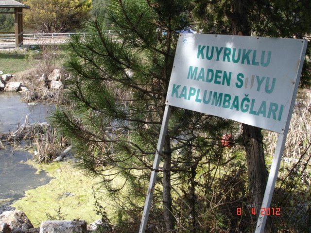 25.JPG