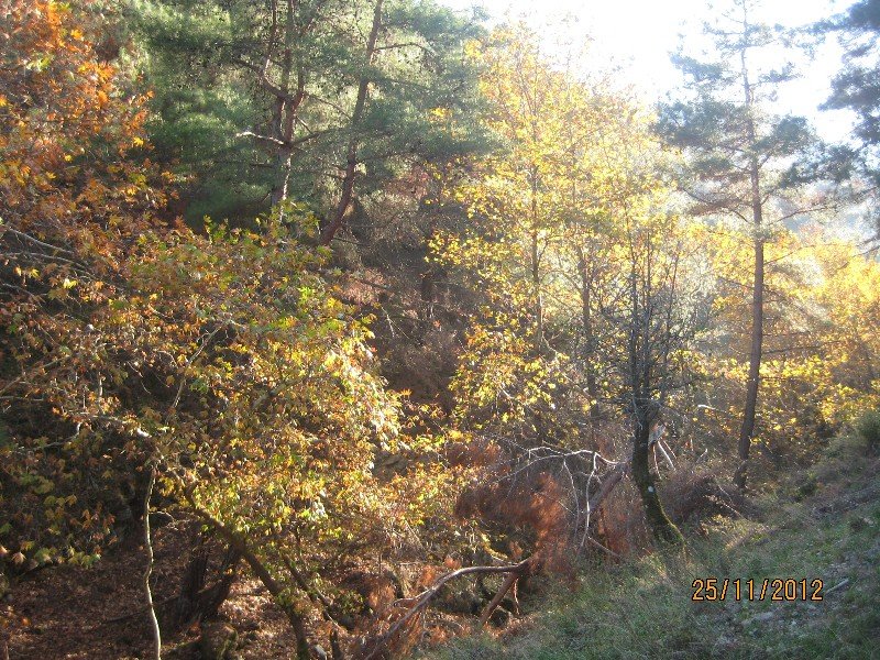 25 KasÃƒÂƒÃ‚Â„ÃƒÂ‚Ã‚Â±m Fotolar 054.jpg