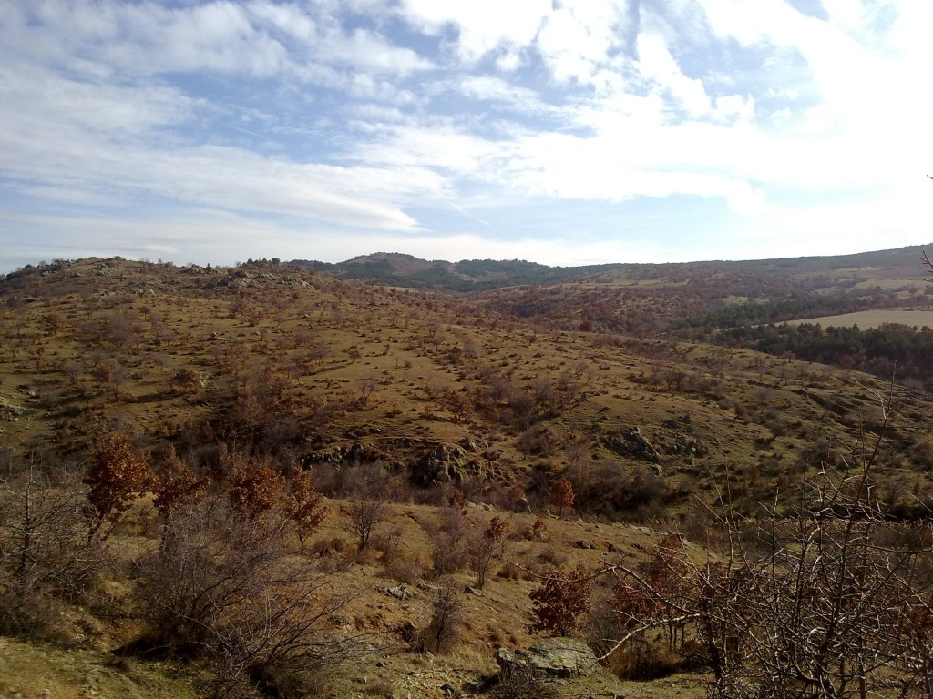 250120154231.jpg