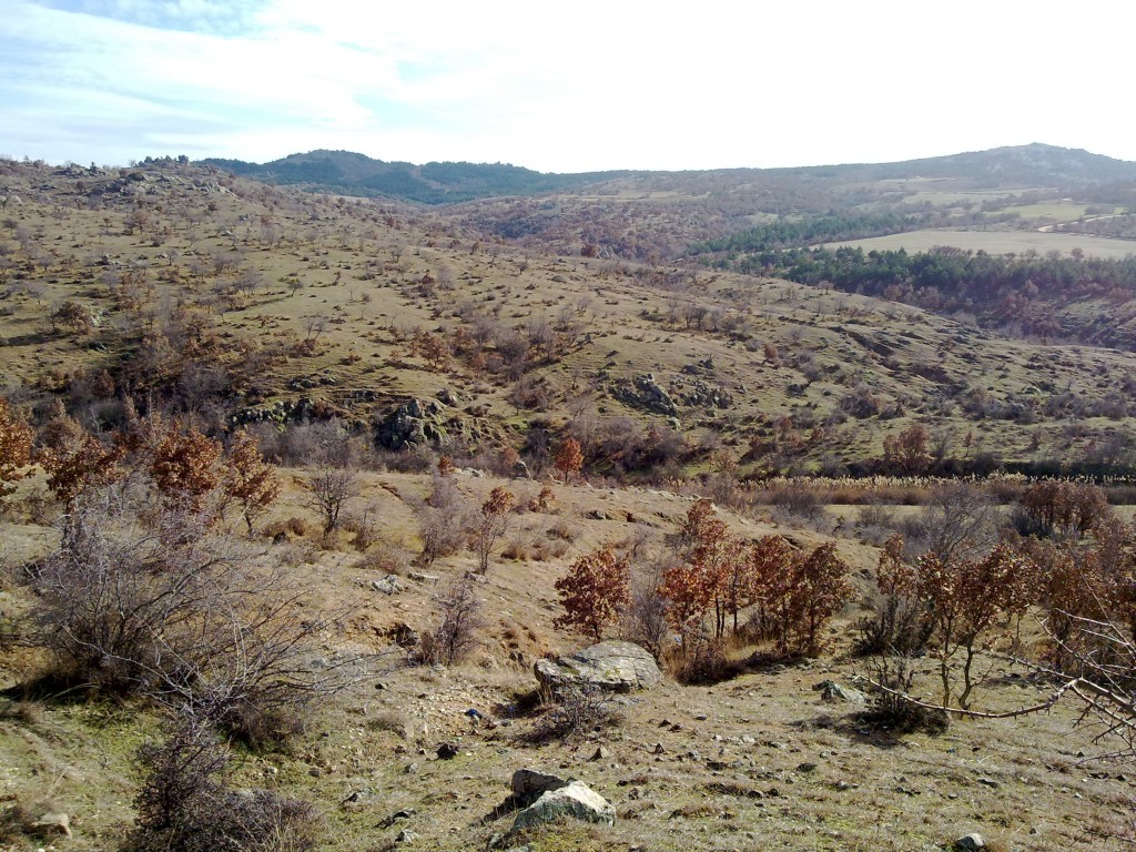 250120154236.jpg