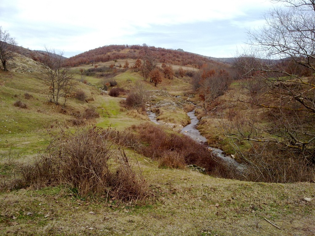 250120154248.jpg