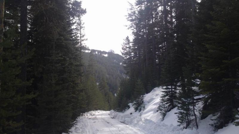 25122010502.jpg