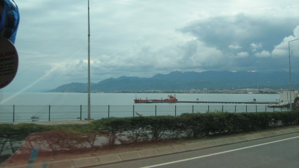256.JPG