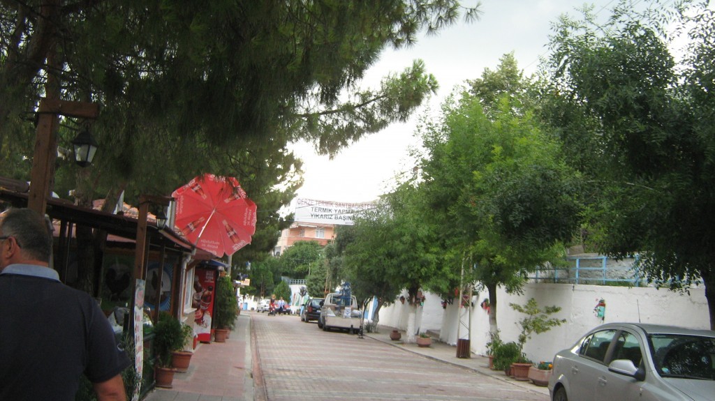 258.JPG