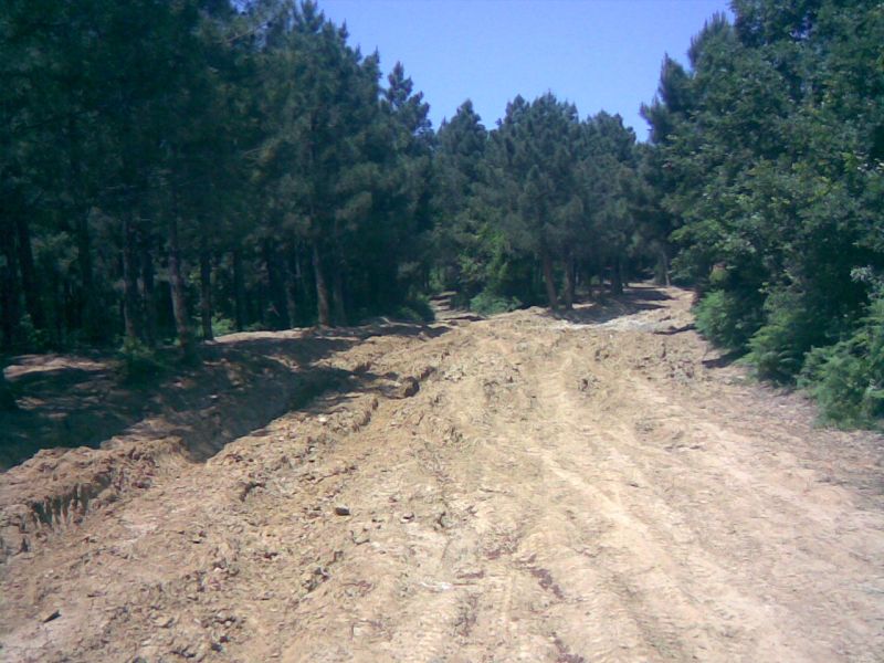 26052010(004).jpg