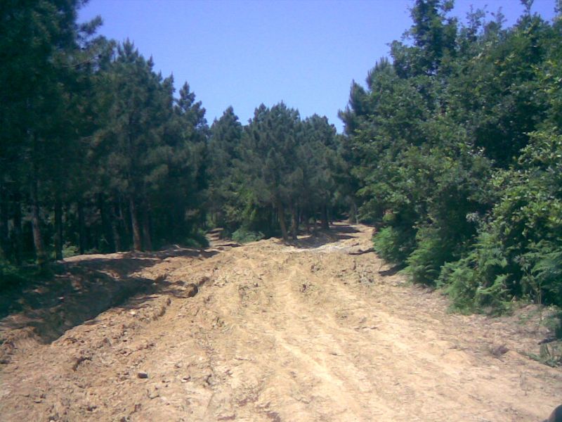 26052010(005).jpg