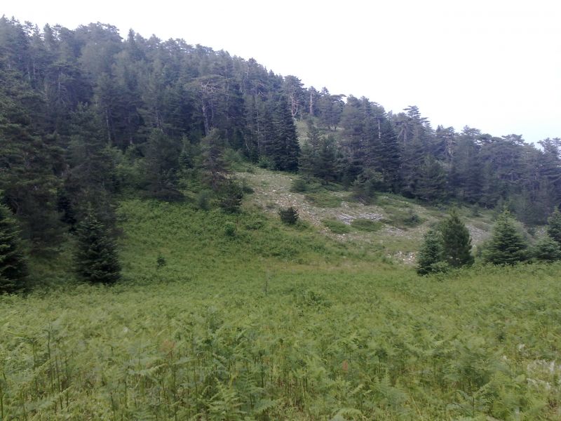 260620101377.jpg
