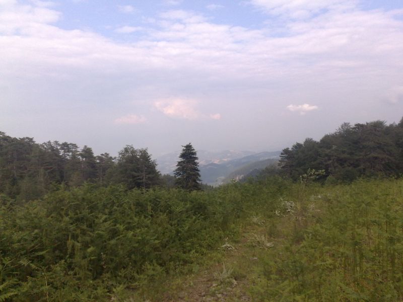 260620101383.jpg