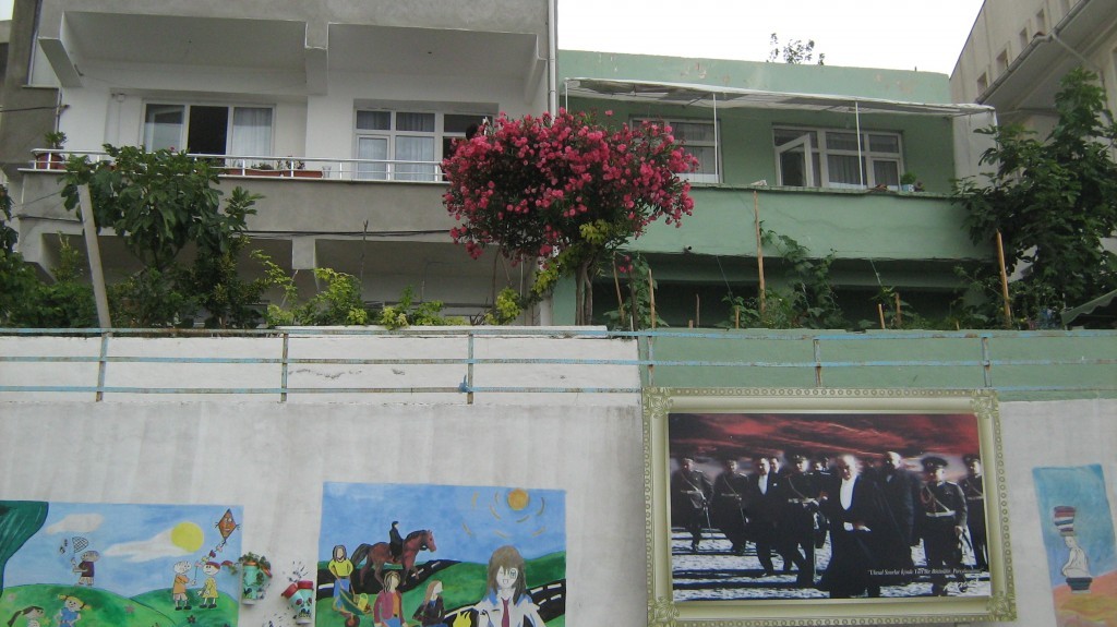 263.JPG