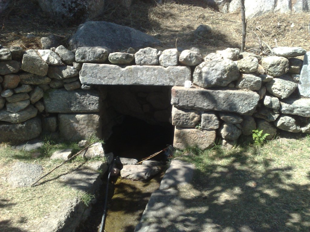 27012007098.jpg
