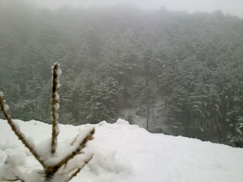 27012011053.jpg