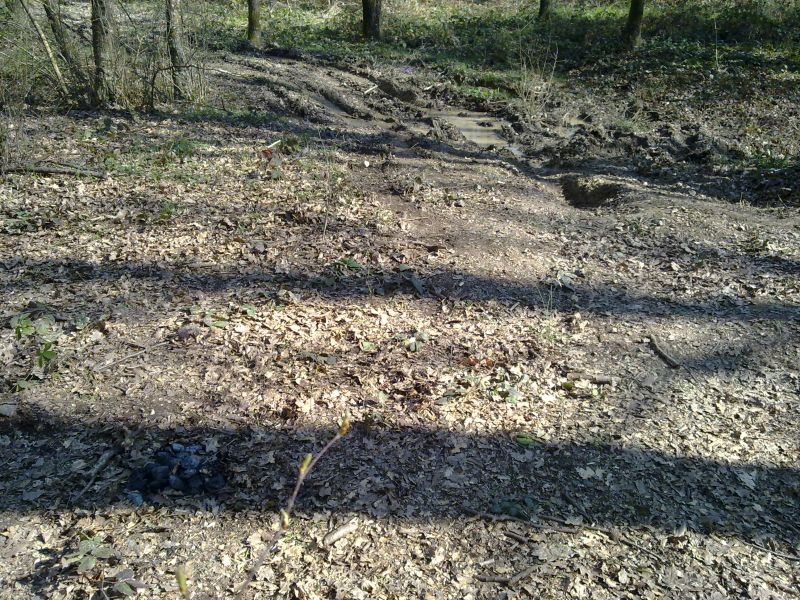 27032010194.jpg