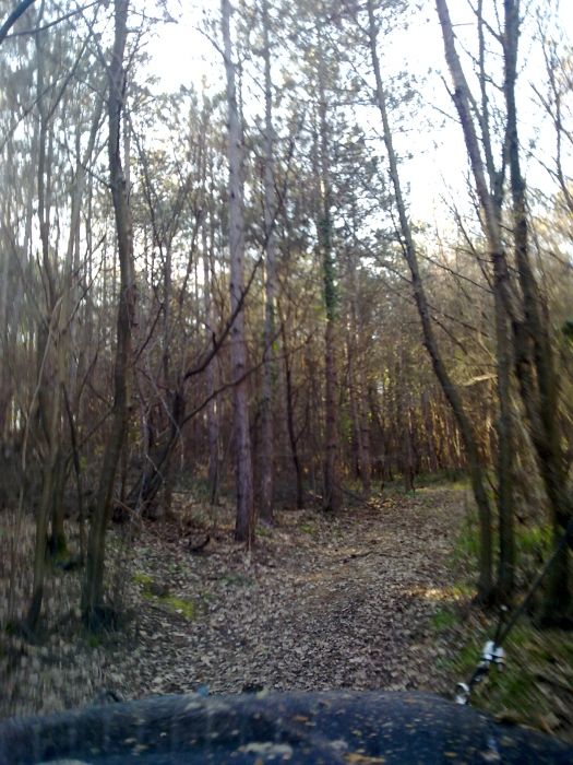 27032010221.jpg