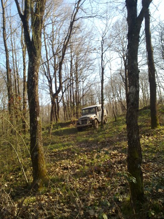 27032010277.jpg