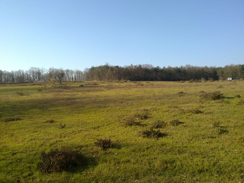 27032010279.jpg