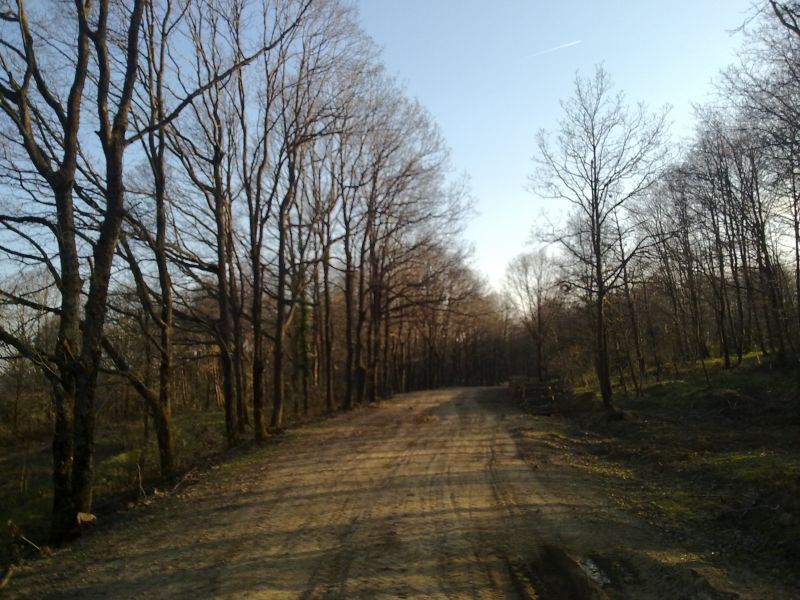 27032010329.jpg