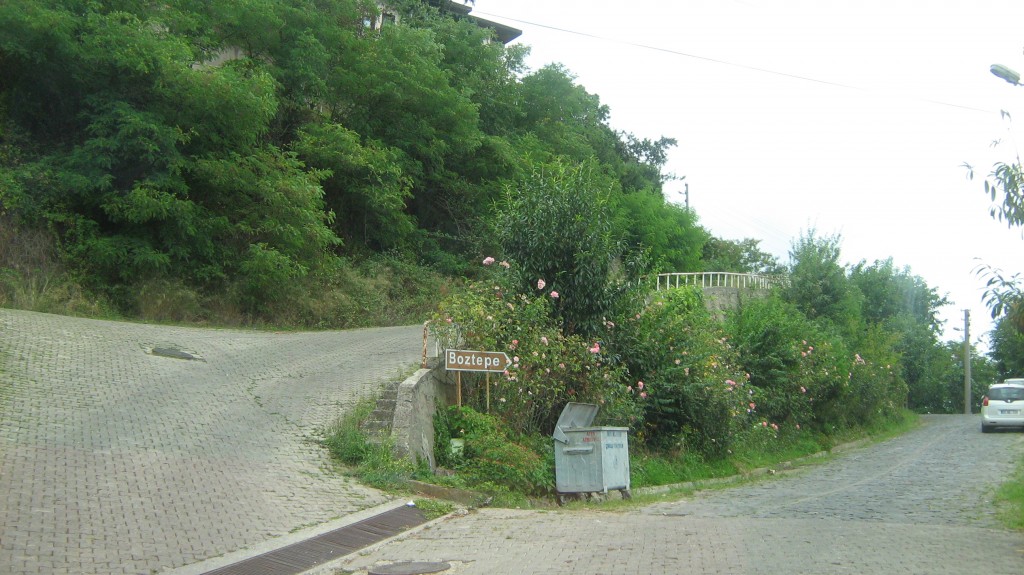 271.JPG