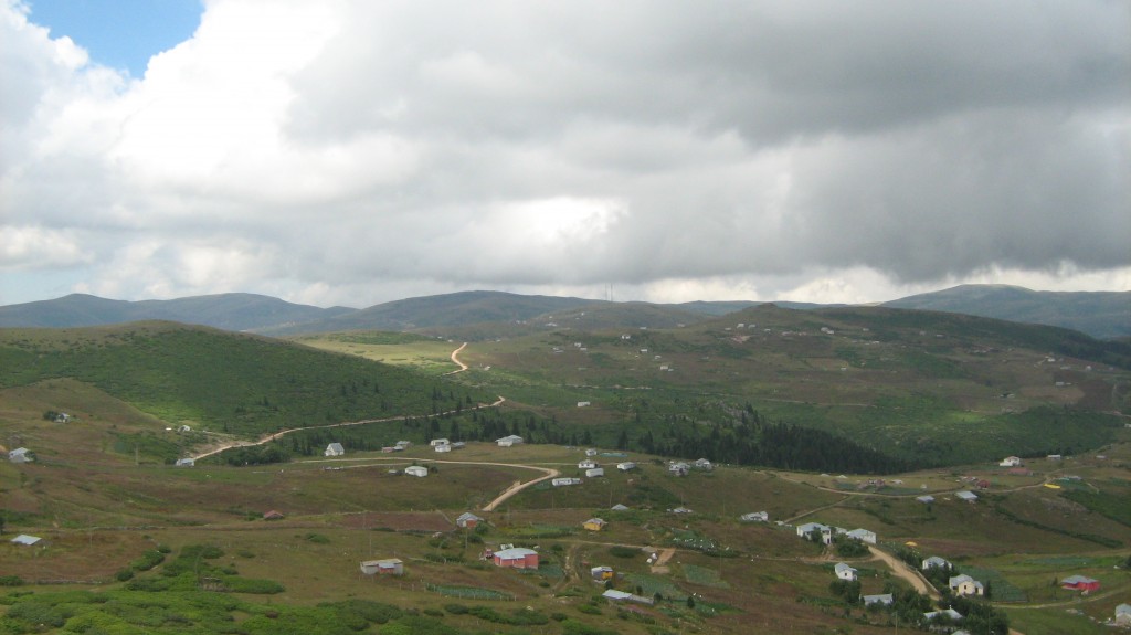 277.JPG