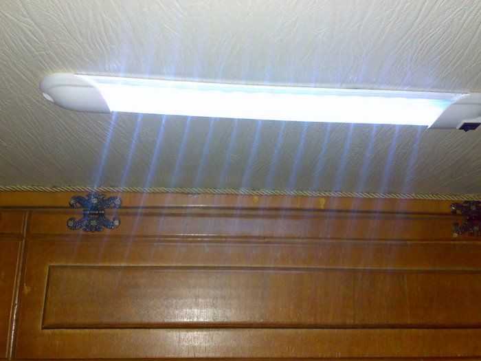 28012010091.jpg
