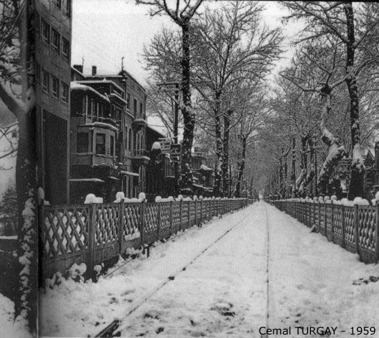 281961.jpg