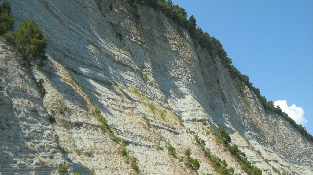 283.JPG
