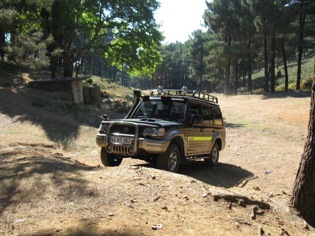 289.JPG