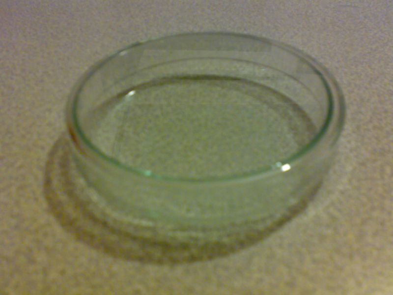 29082010408.jpg
