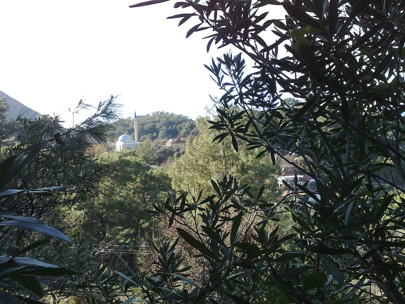 291220091032.jpg