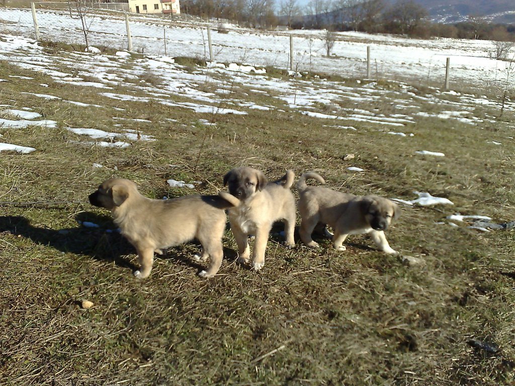 291220111746.jpg