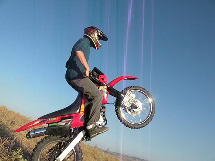 294010_2323453689617_1347850722_2661741_5710895_n.jpg