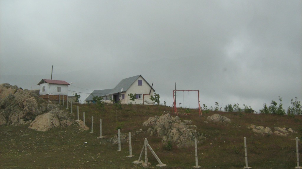 297.JPG