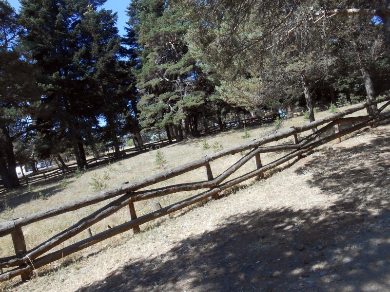 2_800x600.JPG